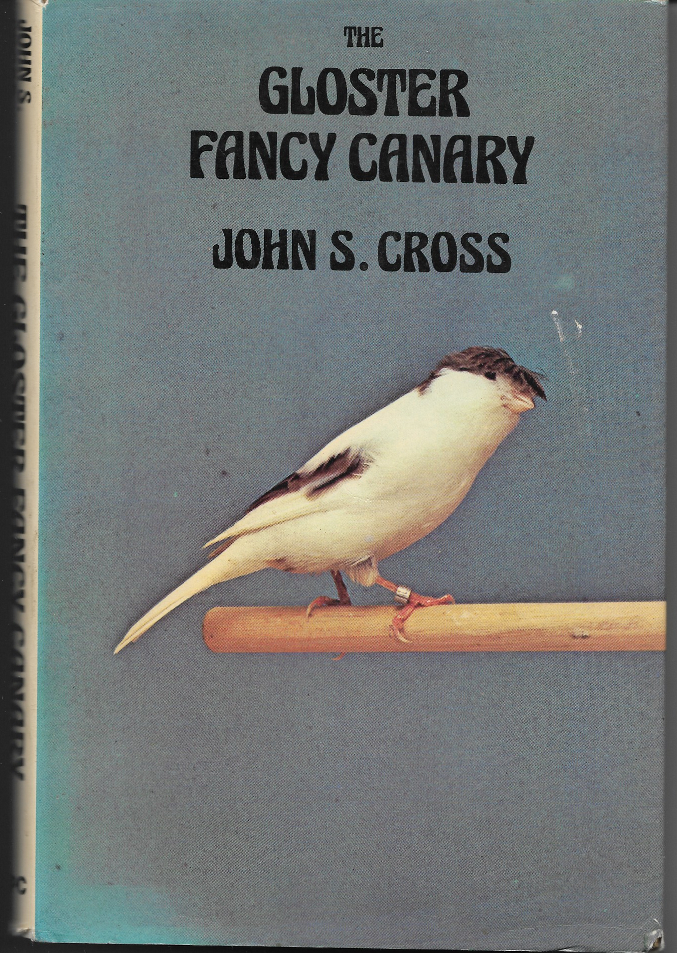 THE GLOSTER FANCY CANARY